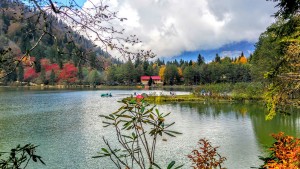 Artvin Borçka Karagöl ve Ayder Double Tur