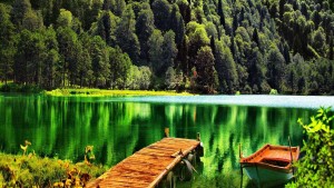 Artvin Borçka Karagöl ve Ayder Double Tur